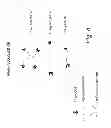 Fig. 19 - MULTIMERIC TIE 2 AGONISTS AND USES THEREOF IN STIMULATING ANGIOGENESIS