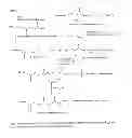 Fig. 10 - Method for selective oligonucleotide modification