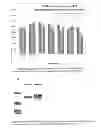 Fig. 22 - Method for selective oligonucleotide modification