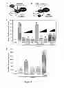 Fig. 09 - Methods and Compositions for Inhibiting Tumor Cell Proliferation