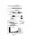 Fig. 18 - Methods and Compositions for Inhibiting Tumor Cell Proliferation