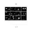 Fig. 19 - Methods and Compositions for Inhibiting Tumor Cell Proliferation