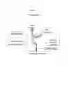 Fig. 06 - Polypeptides that bound to IL-23 receptor and inhibit binding of IL-23 and cell signaling thereof