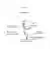 Fig. 13 - Polypeptides that bound to IL-23 receptor and inhibit binding of IL-23 and cell signaling thereof