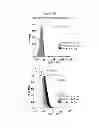 Fig. 23 - Polypeptides that bound to IL-23 receptor and inhibit binding of IL-23 and cell signaling thereof