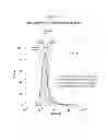 Fig. 24 - Polypeptides that bound to IL-23 receptor and inhibit binding of IL-23 and cell signaling thereof