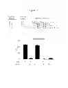 Fig. 28 - Polypeptides that bound to IL-23 receptor and inhibit binding of IL-23 and cell signaling thereof
