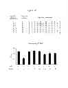Fig. 29 - Polypeptides that bound to IL-23 receptor and inhibit binding of IL-23 and cell signaling thereof
