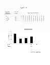 Fig. 32 - Polypeptides that bound to IL-23 receptor and inhibit binding of IL-23 and cell signaling thereof