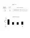 Fig. 35 - Polypeptides that bound to IL-23 receptor and inhibit binding of IL-23 and cell signaling thereof
