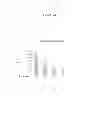 Fig. 45 - Polypeptides that bound to IL-23 receptor and inhibit binding of IL-23 and cell signaling thereof