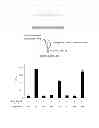 Fig. 53 - Polypeptides that bound to IL-23 receptor and inhibit binding of IL-23 and cell signaling thereof