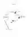 Fig. 59 - Polypeptides that bound to IL-23 receptor and inhibit binding of IL-23 and cell signaling thereof