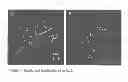 Fig. 04 - METHODS AND COMPOSITIONS FOR DELIVERING ACTIVE AGENTS WITH ENHANCED PHARMACOLOGICAL PROPERTIES