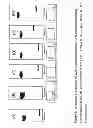 Fig. 11 - METHODS AND COMPOSITIONS FOR DELIVERING ACTIVE AGENTS WITH ENHANCED PHARMACOLOGICAL PROPERTIES