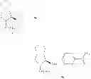 Fig. 199 - Processes and intermediates