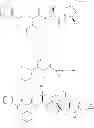 Fig. 207 - Processes and intermediates