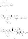 Fig. 222 - Processes and intermediates
