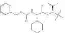 Fig. 49 - Processes and intermediates