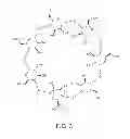 Fig. 04 - Retinal cyclodextrin acetals and hemiacetals for treating skin complexion disorder