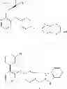 Fig. 05 - Fused heterocyclic compounds
