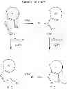 Fig. 82 - Fused heterocyclic compounds