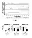 Fig. 04 - Treatment with VB-201