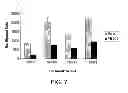 Fig. 07 - Treatment with VB-201