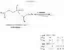Fig. 60 - PROCESS FOR PREPARATION OF HIV PROTEASE INHIBITORS