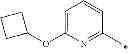 Fig. 596 - Azetidine derivatives
