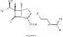 Fig. 03 - Carbapenem antibacterials with gram-negative activity