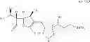 Fig. 05 - Carbapenem antibacterials with gram-negative activity