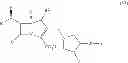 Fig. 08 - Carbapenem antibacterials with gram-negative activity