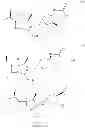 Fig. 33 - Carbapenem antibacterials with gram-negative activity