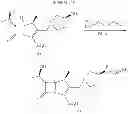 Fig. 56 - Carbapenem antibacterials with gram-negative activity