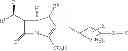 Fig. 75 - Carbapenem antibacterials with gram-negative activity