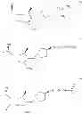 Fig. 85 - Carbapenem antibacterials with gram-negative activity