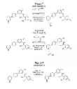 Fig. 07 - Substituted anilines as CCR(4) antagonists