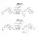 Fig. 08 - Substituted anilines as CCR(4) antagonists