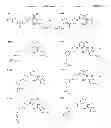 Fig. 28 - Substituted anilines as CCR(4) antagonists