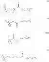 Fig. 72 - Triazine derivative and pharmaceutical composition having an analgesic activity comprising the same