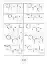 Fig. 02 - ANTI-INFLAMMATORY AGENTS