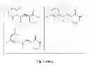 Fig. 04 - ANTI-INFLAMMATORY AGENTS