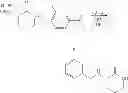 Fig. 09 - ANTI-INFLAMMATORY AGENTS