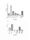 Fig. 02 - METHOD FOR TREATING CARDIOVASCULAR DISEASES USING RHO KINASE INHIBITOR COMPOUNDS