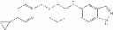 Fig. 211 - METHOD FOR TREATING CARDIOVASCULAR DISEASES USING RHO KINASE INHIBITOR COMPOUNDS