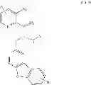 Fig. 205 - Chemokine receptor modulators