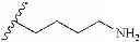 Fig. 495 - Chemokine receptor modulators