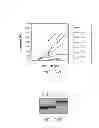 Fig. 19 - Compositions and methods for bone formation and modeling
