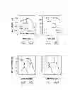 Fig. 22 - Compositions and methods for bone formation and modeling